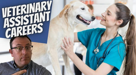 How to Access Zero-Cost Veterinary Assistant Courses and Begin a Fulfilling Career with Animals